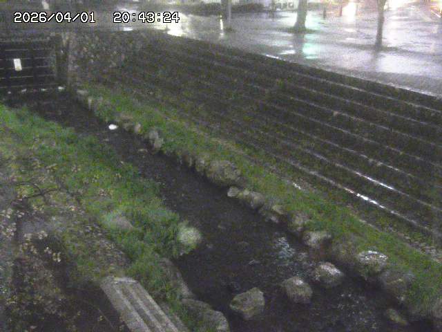 取得できませんでした