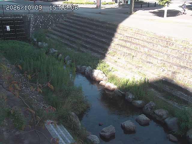 取得できませんでした