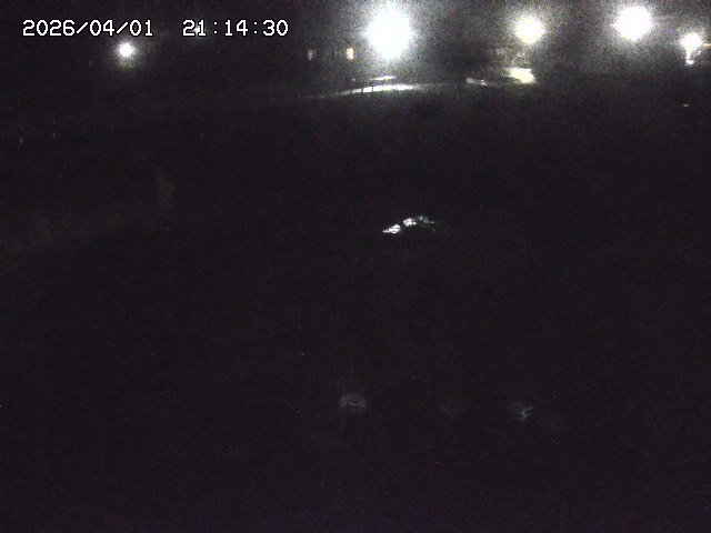 取得できませんでした