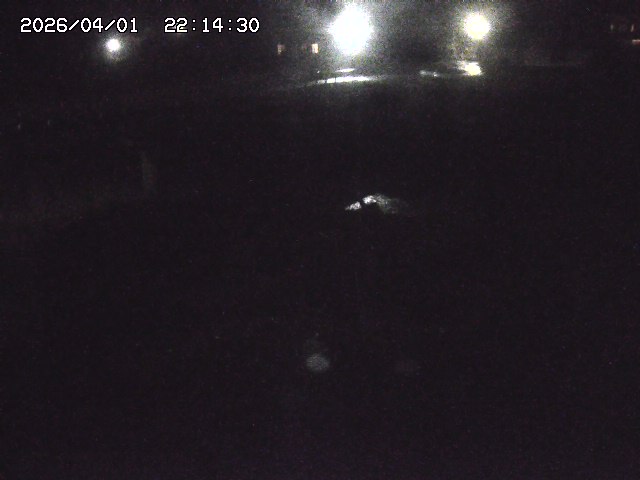 取得できませんでした