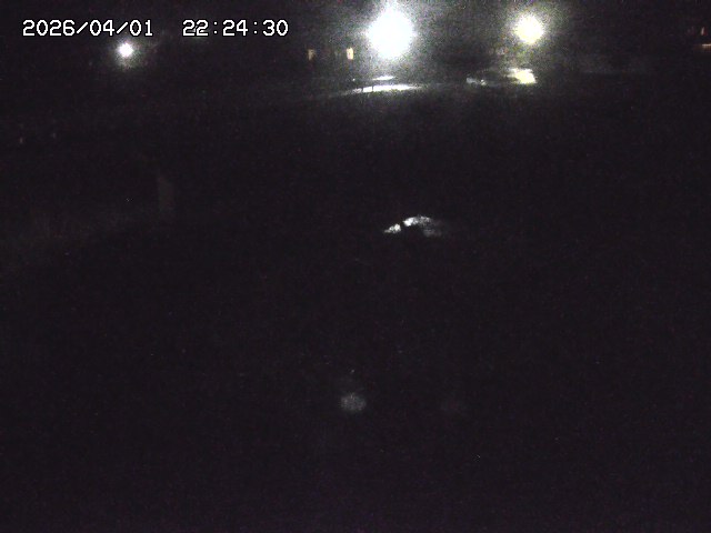 取得できませんでした