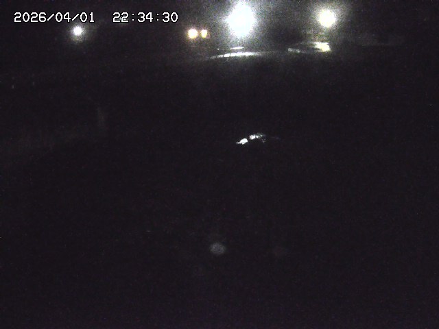 取得できませんでした