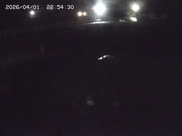 取得できませんでした