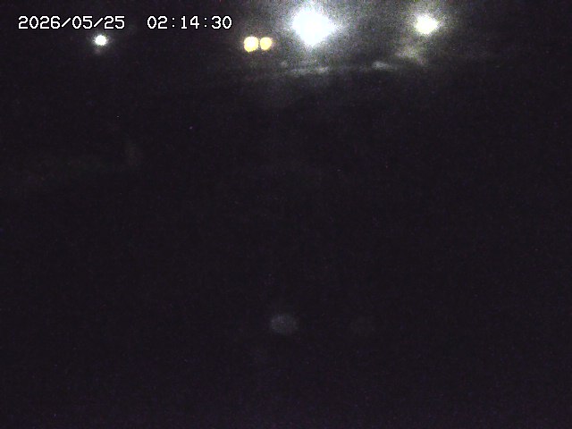 取得できませんでした