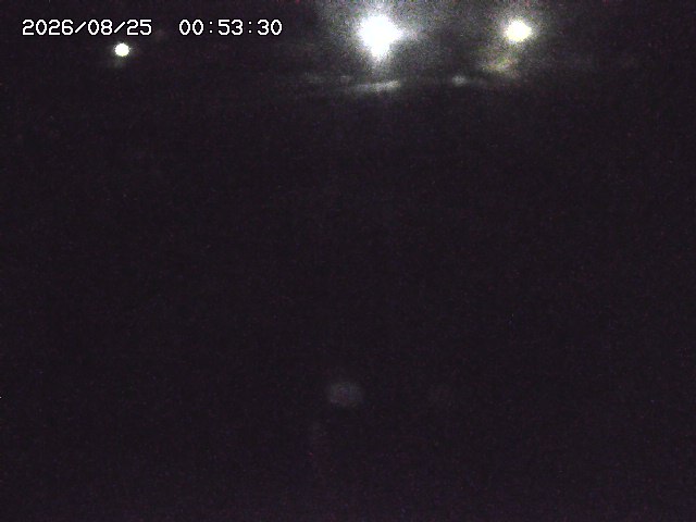 取得できませんでした