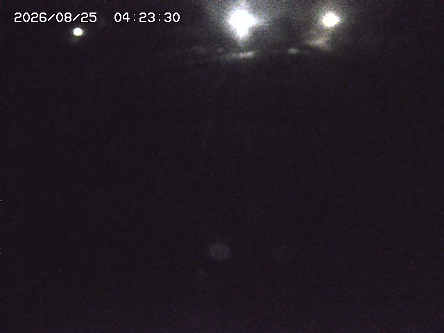 取得できませんでした