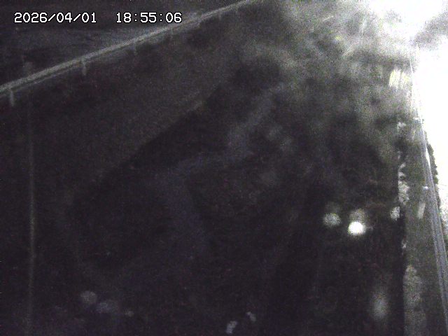 取得できませんでした