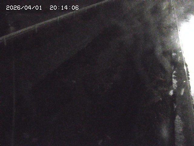 取得できませんでした