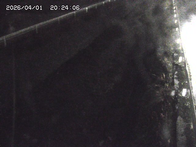 取得できませんでした