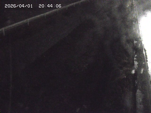 取得できませんでした