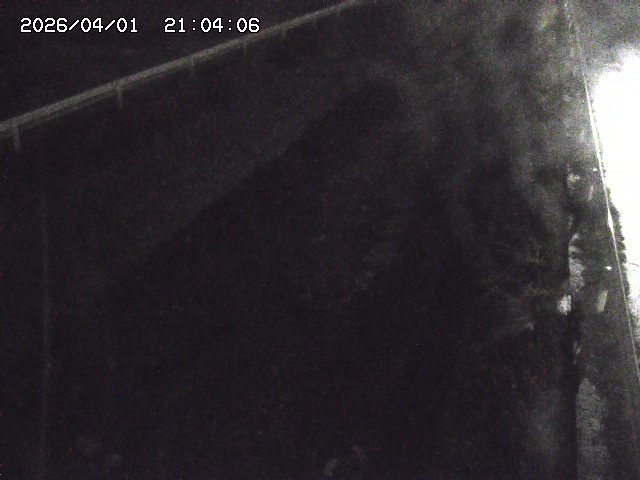 取得できませんでした