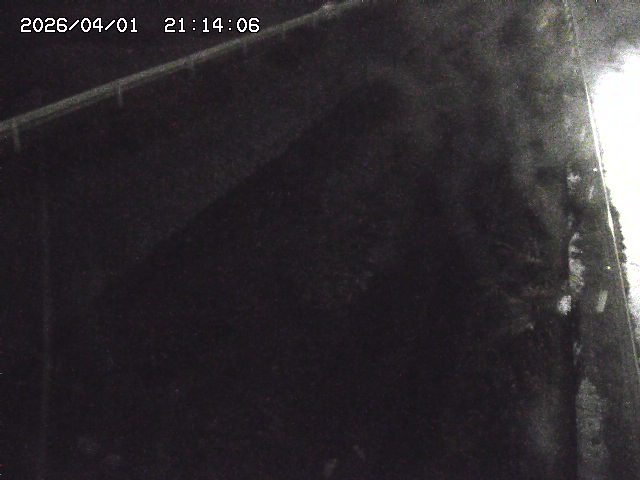 取得できませんでした