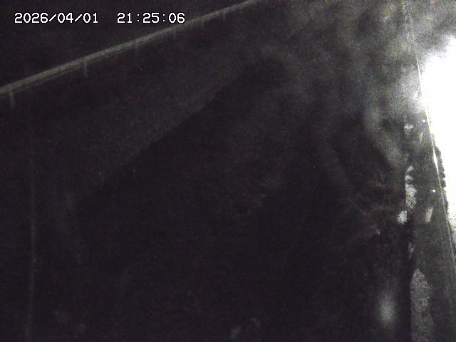 取得できませんでした