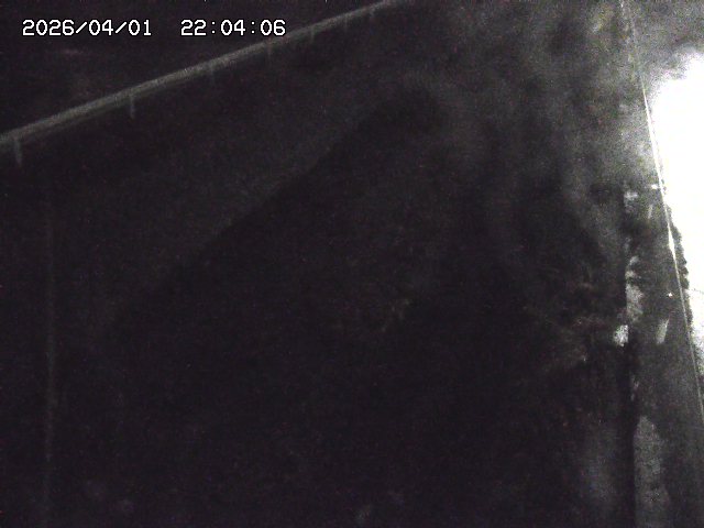 取得できませんでした