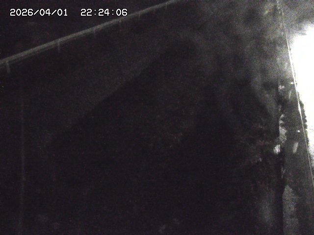 取得できませんでした