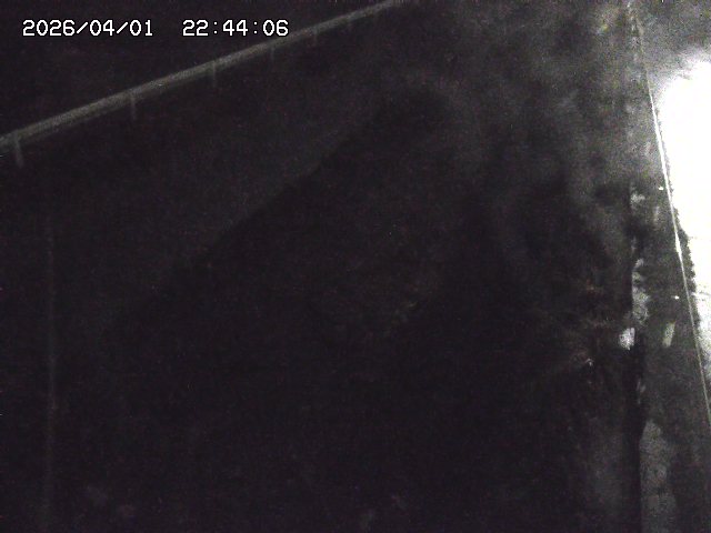 取得できませんでした