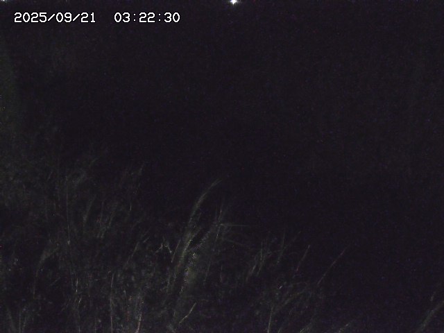 取得できませんでした