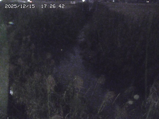 取得できませんでした