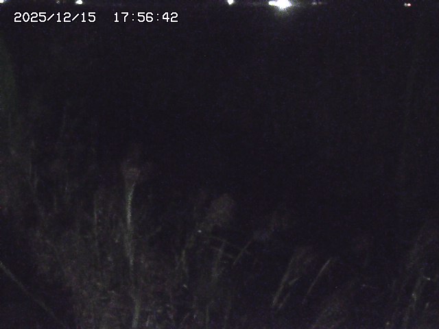 取得できませんでした