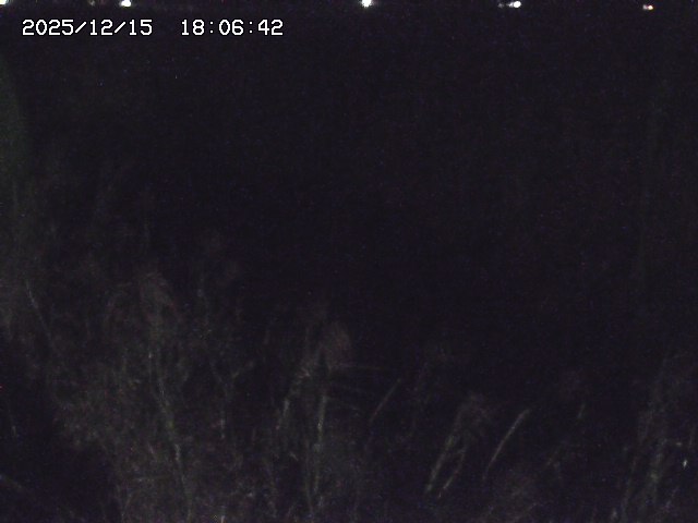 取得できませんでした