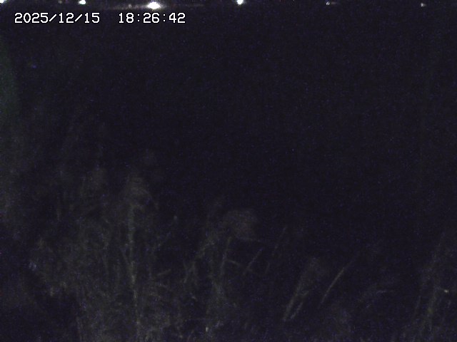 取得できませんでした