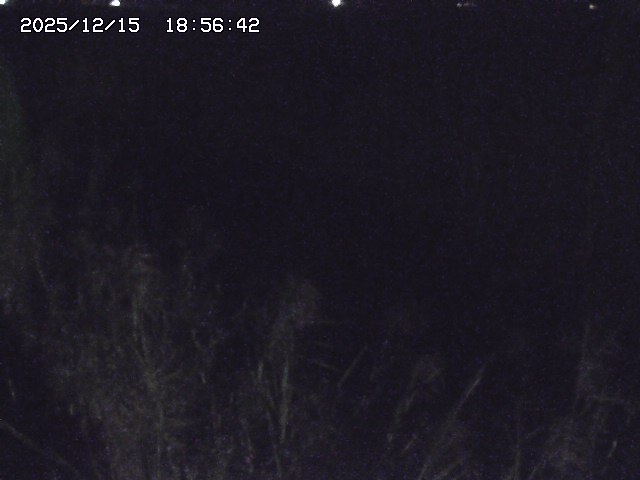 取得できませんでした