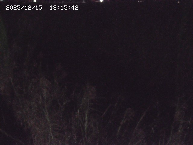 取得できませんでした