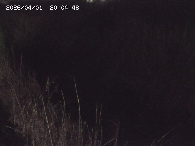 取得できませんでした