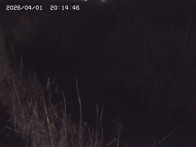 取得できませんでした