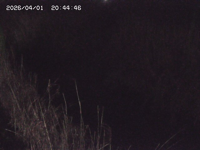 取得できませんでした