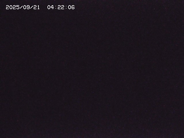 取得できませんでした