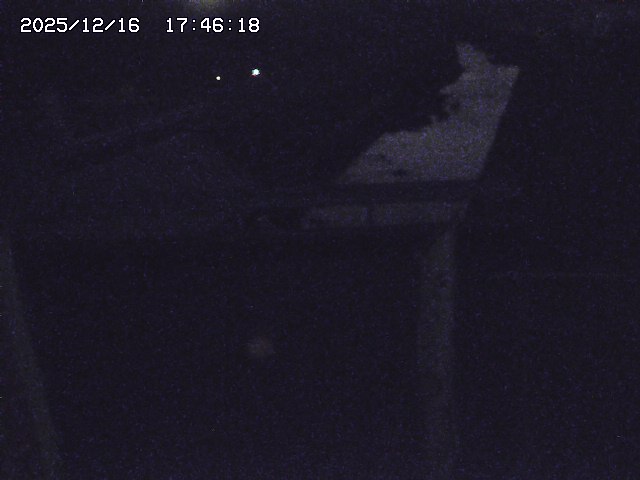 取得できませんでした