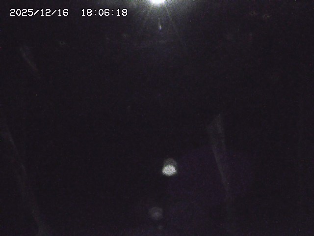 取得できませんでした