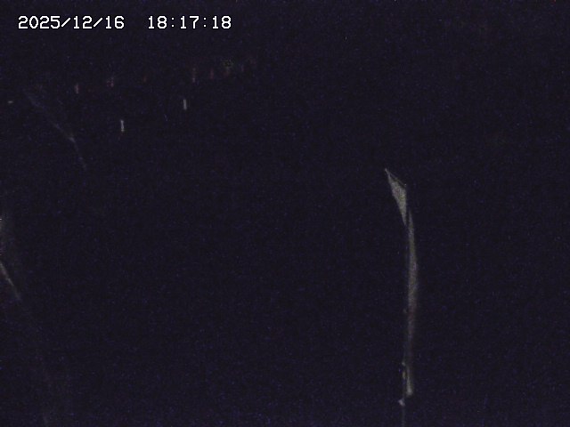 取得できませんでした