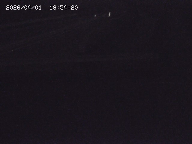 取得できませんでした