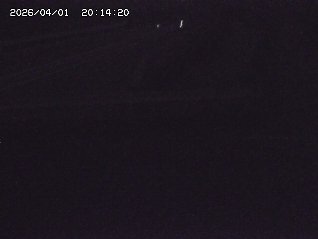 取得できませんでした