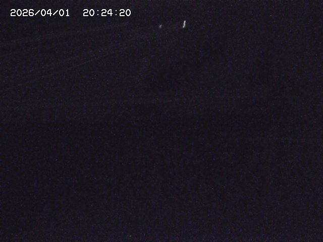 取得できませんでした