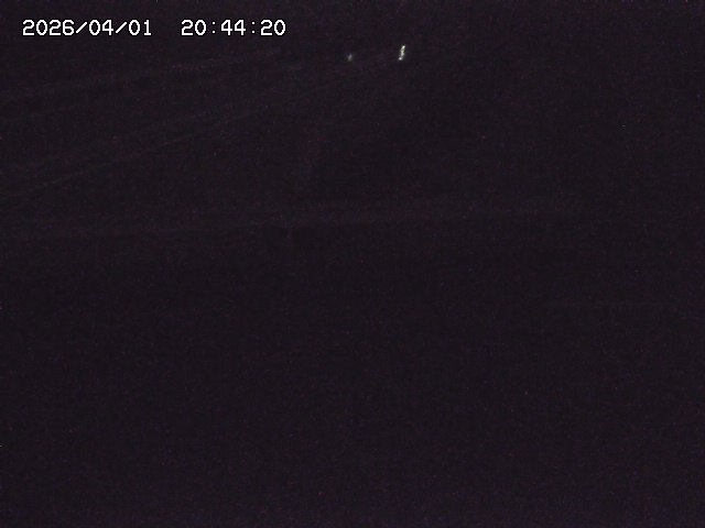 取得できませんでした