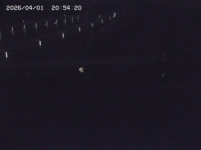 取得できませんでした