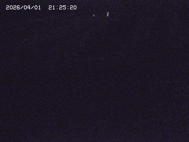 取得できませんでした