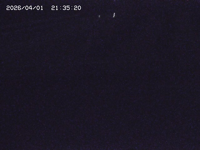 取得できませんでした