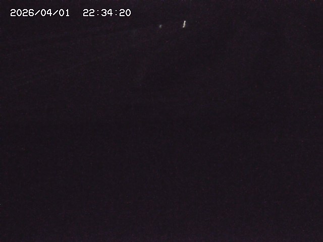 取得できませんでした