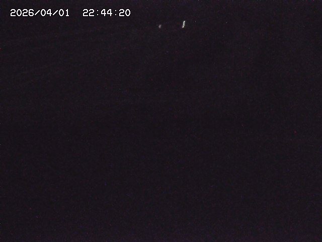 取得できませんでした