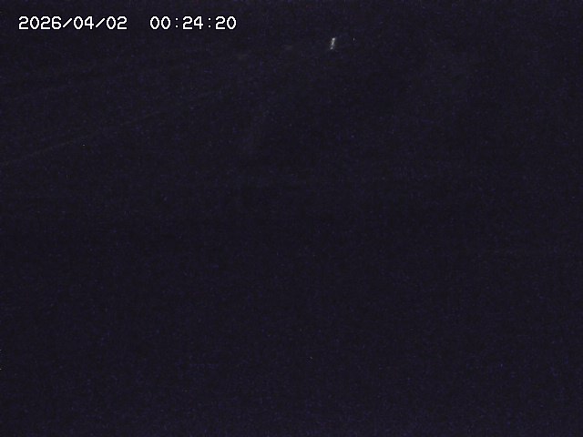 取得できませんでした