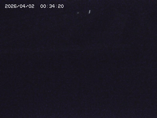 取得できませんでした