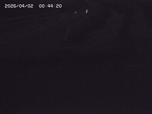 取得できませんでした