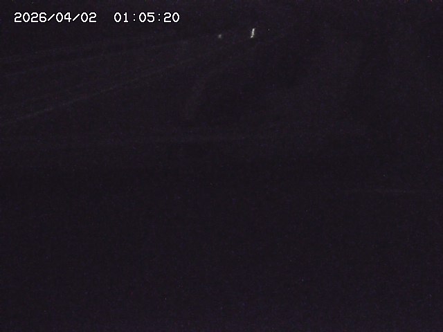 取得できませんでした