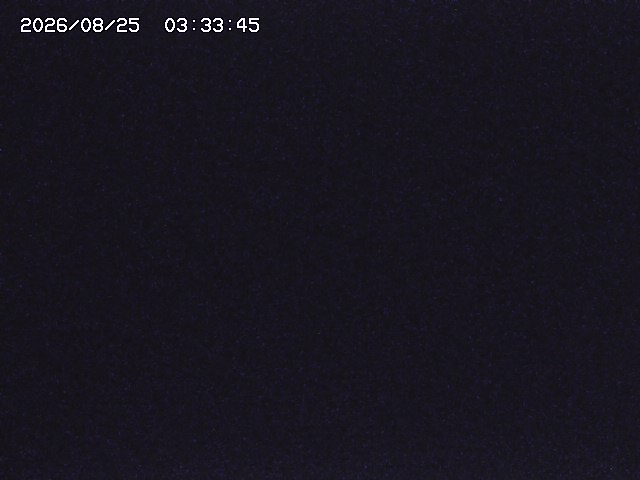 取得できませんでした