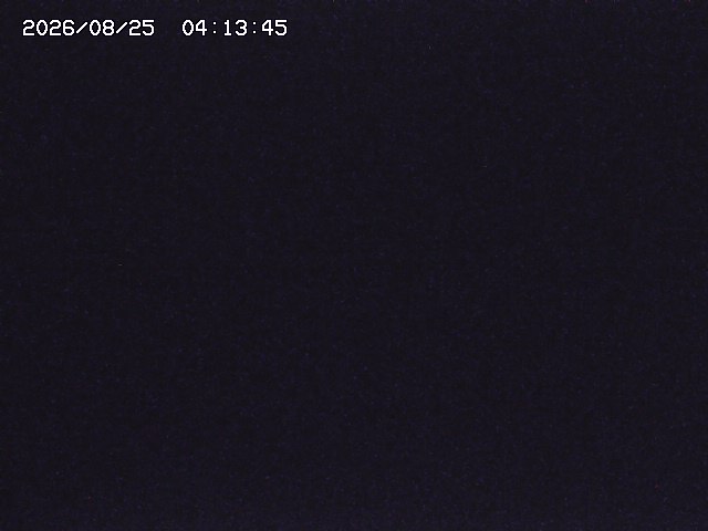 取得できませんでした