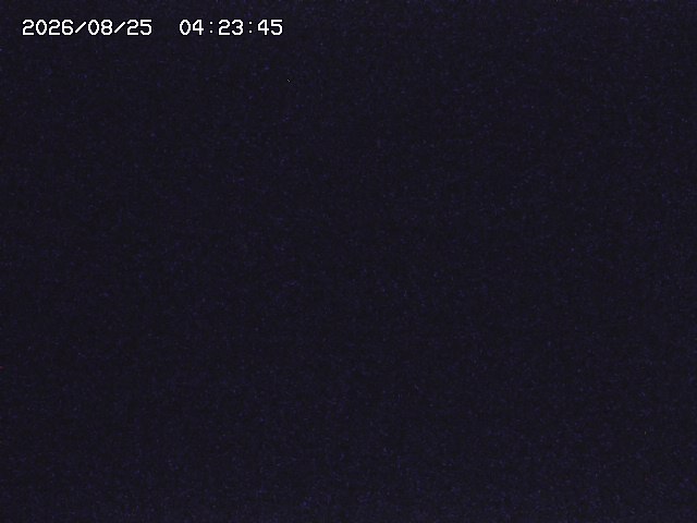 取得できませんでした